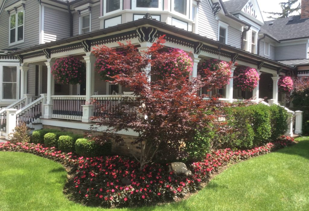 Perennial garden designed by debbie danek in Barrington Illinois