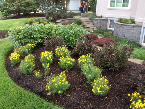 Perennial garden designed by debbie danek