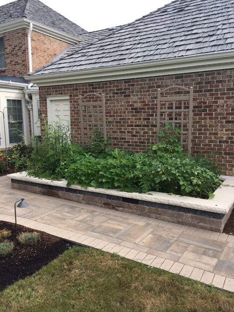 backyard garden design with trellis and vegetable garden