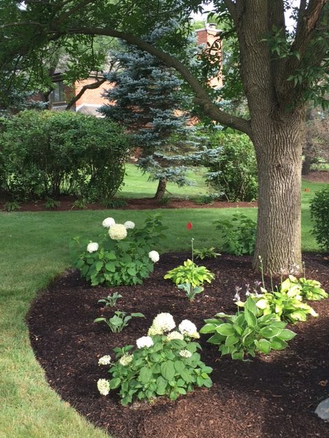 garden design with white flowers