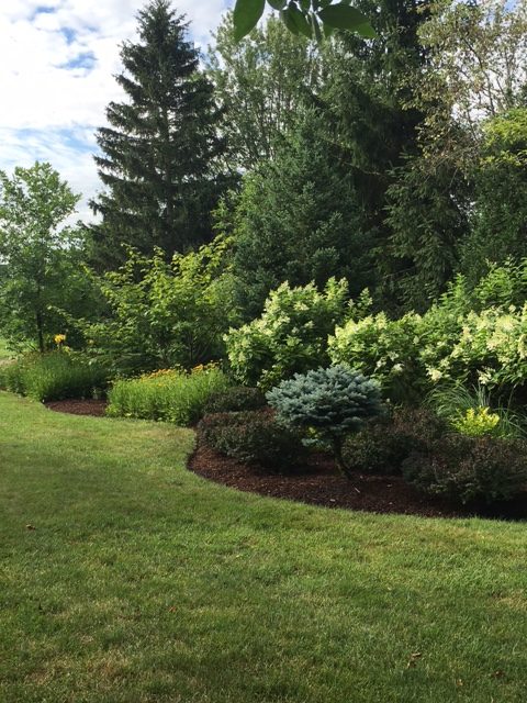 heavy greenery garden design